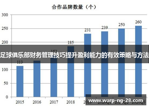 足球俱乐部财务管理技巧提升盈利能力的有效策略与方法 足球俱乐部财务管理技巧提升盈利能力的有效策略与方法